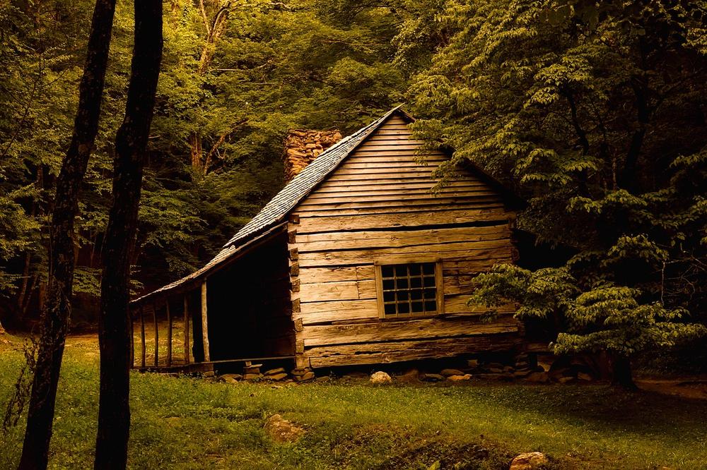 Understanding the Significance of a Cabin in Your Dream
