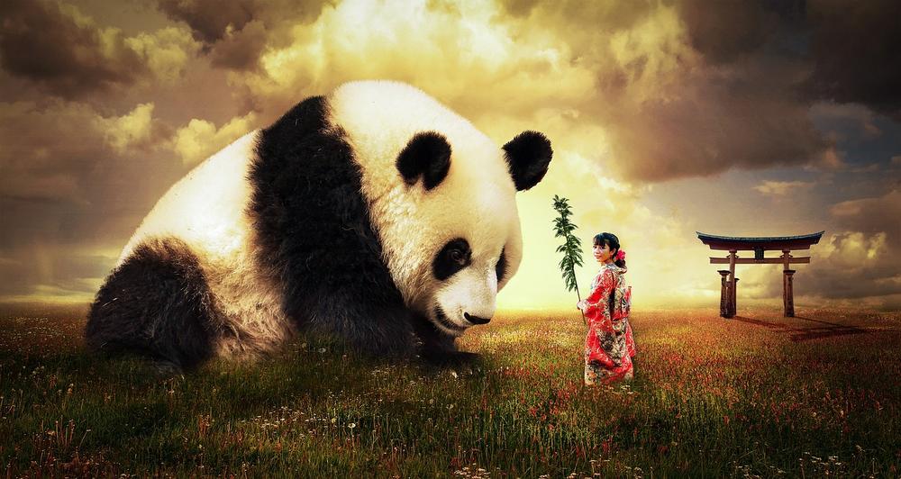 What Does a Panda Symbolize in Dreams?