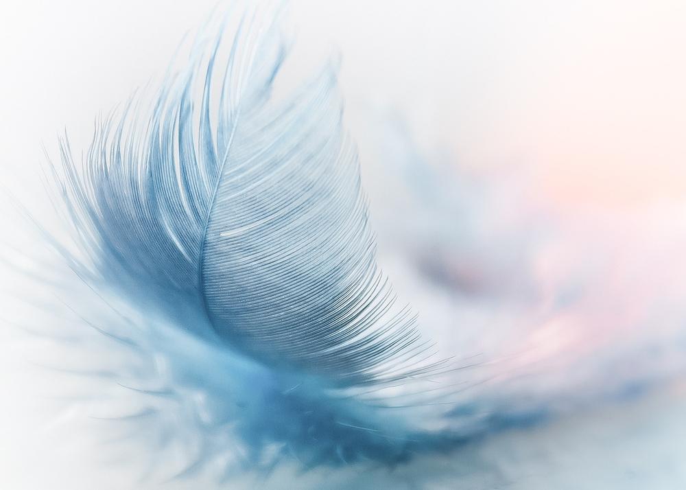 What Is the Spiritual Meaning of Seeing a Feather?