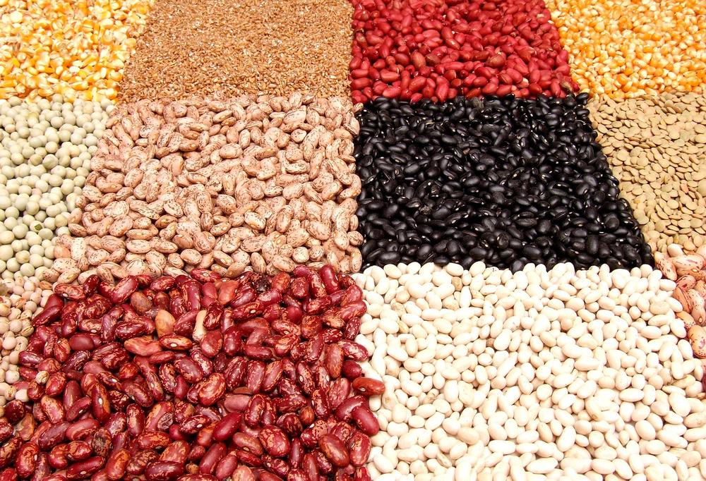 Cultural and Historical Significance of Beans in Dreams