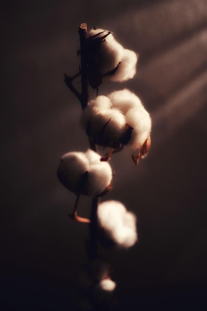 Interpreting Symbolism of Cotton-Related Objects in Dreams