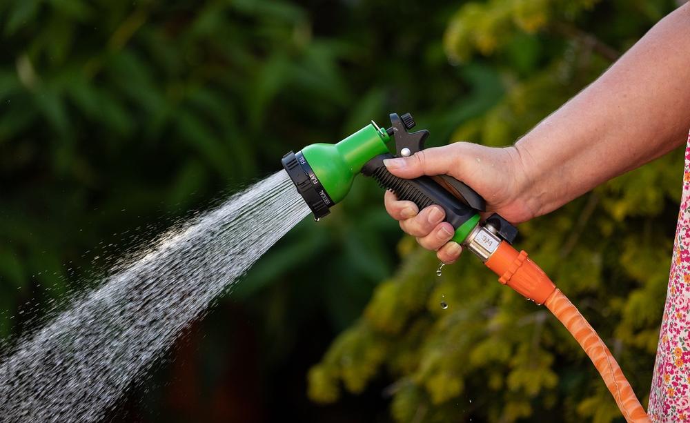 Dreaming of a Garden Hose: Symbolic Meaning