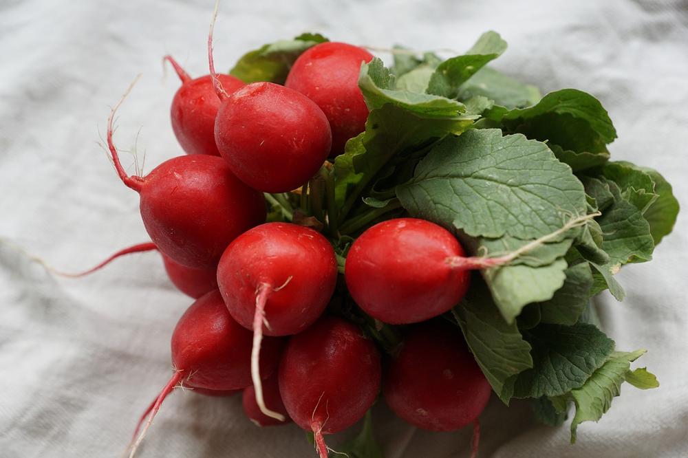 Interpreting the Significance of Radishes in Your Dream