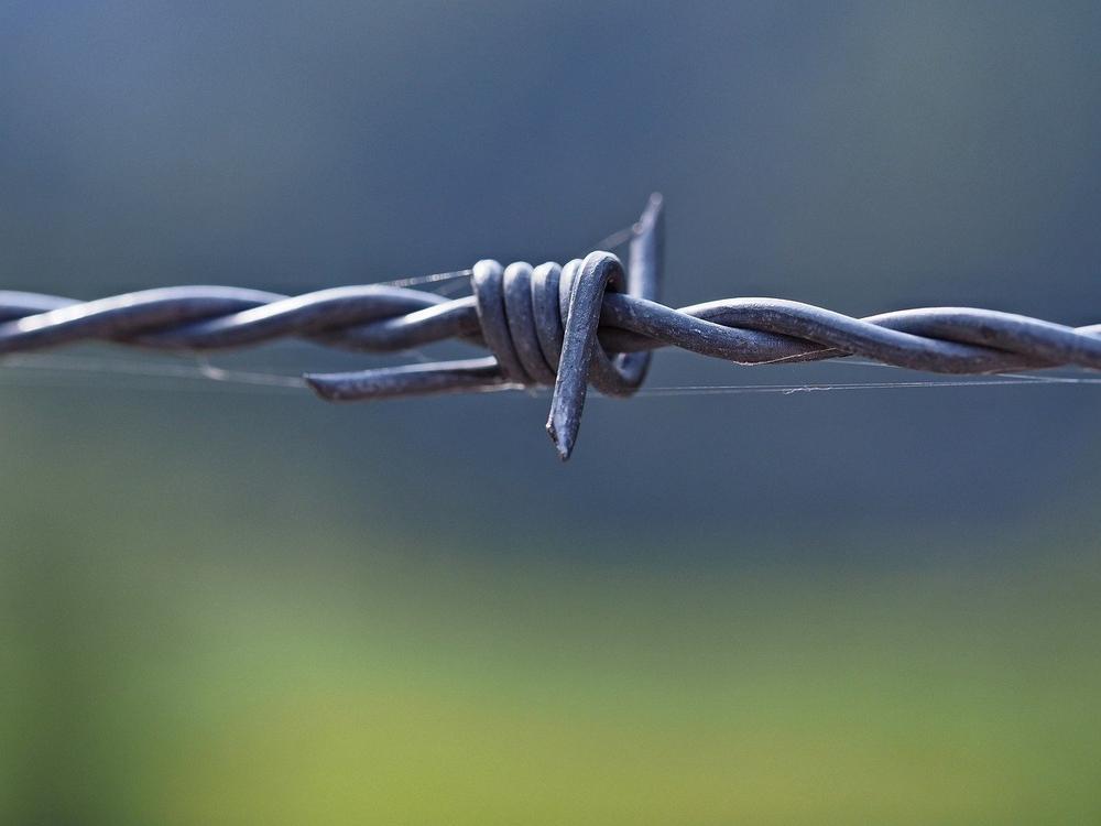 The Psychosocial Symbolism of Barbed Wire Dreams