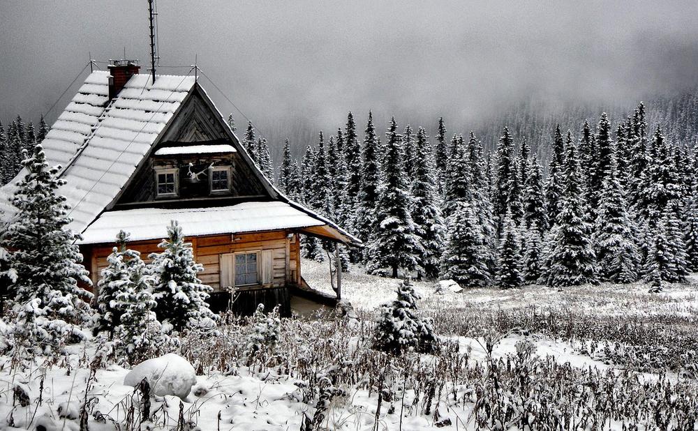 Different Types of Cabins