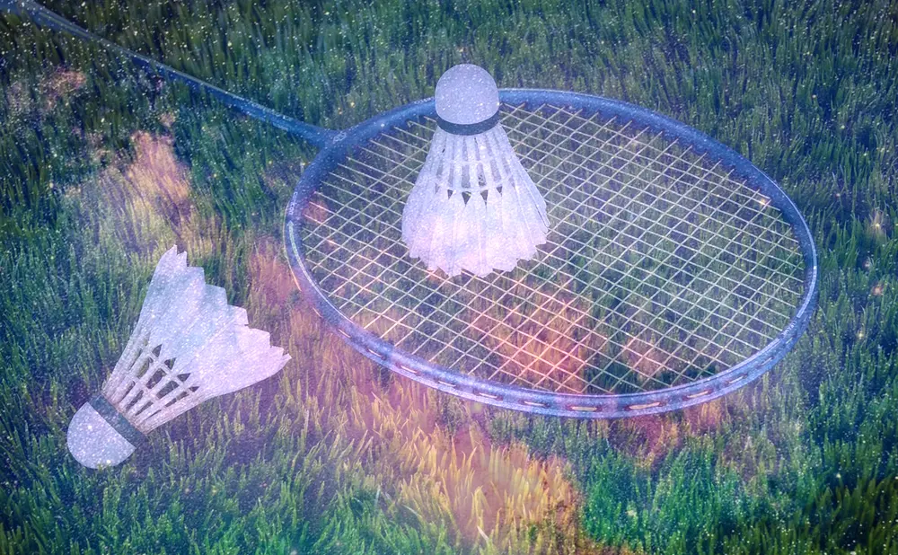 Dream About Badminton