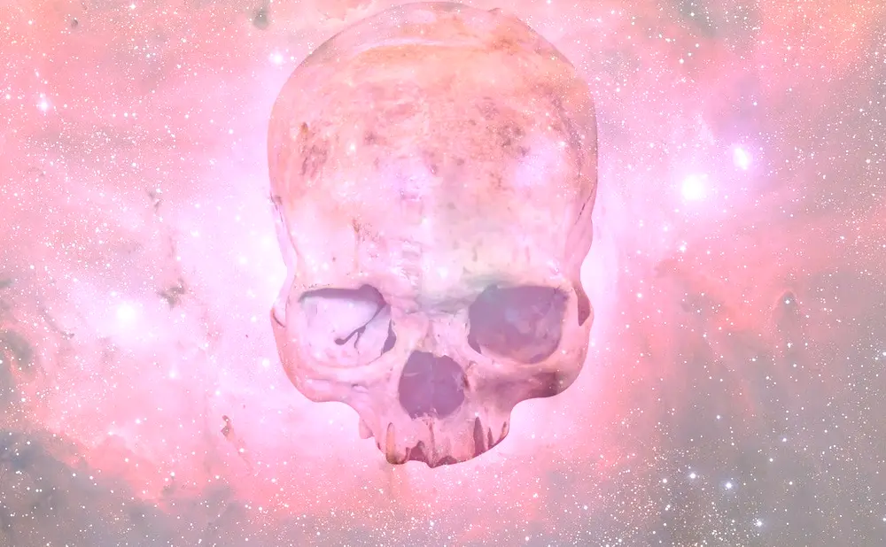 Dream About Skull