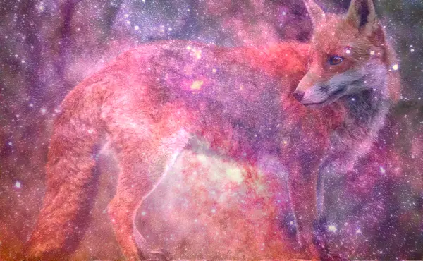 Dream About Bitten by Fox